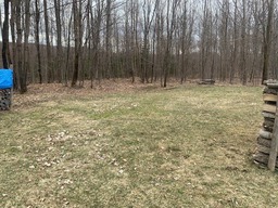Wooded area