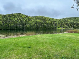 Bord de l'eau