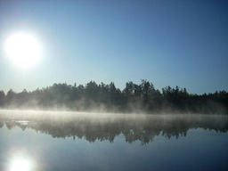 Vue sur l'eau