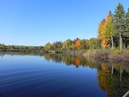 Vue sur l'eau