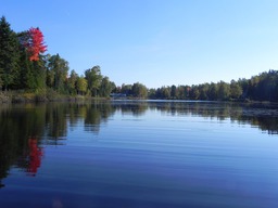 Vue sur l'eau