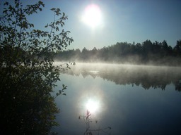 Vue sur l'eau