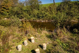 Bord de l'eau