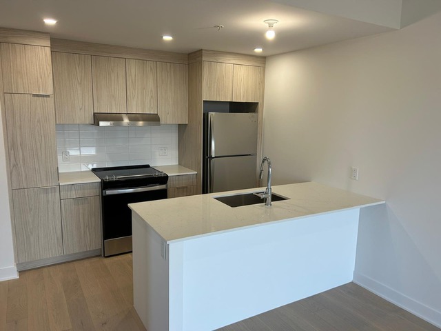 15977404 - 10120 Rue Lauraine-Vaillancourt, app. 508