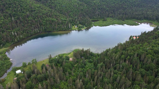 Aerial photo