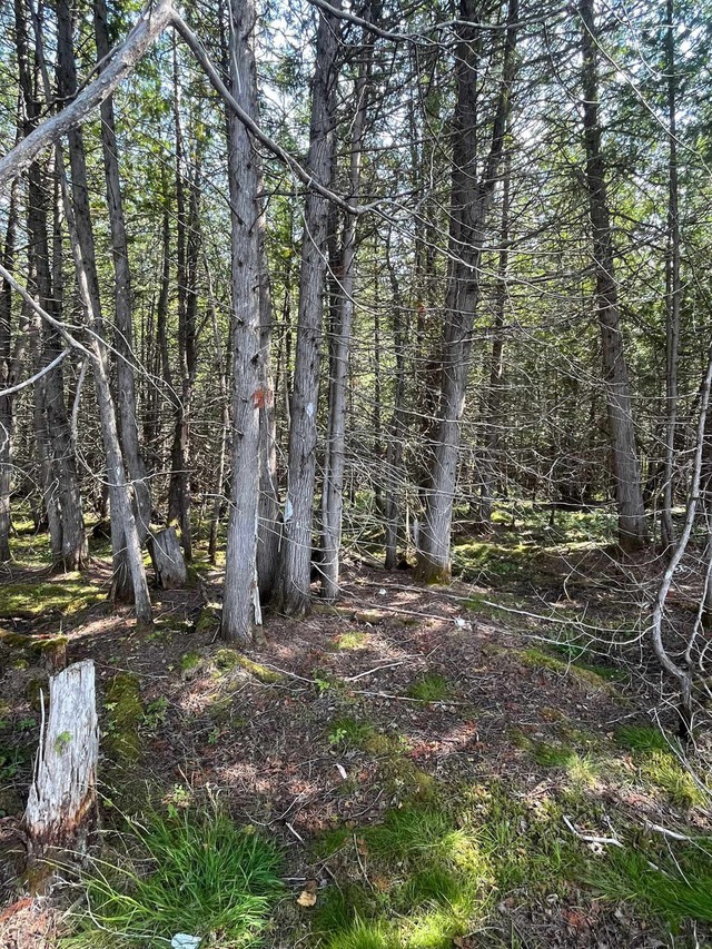 Terre à bois