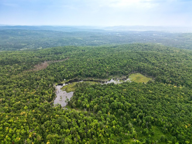 Vue d'ensemble