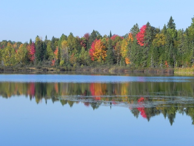 Vue sur l'eau