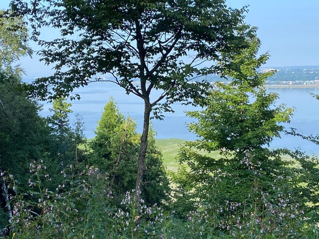 Vue sur l'eau