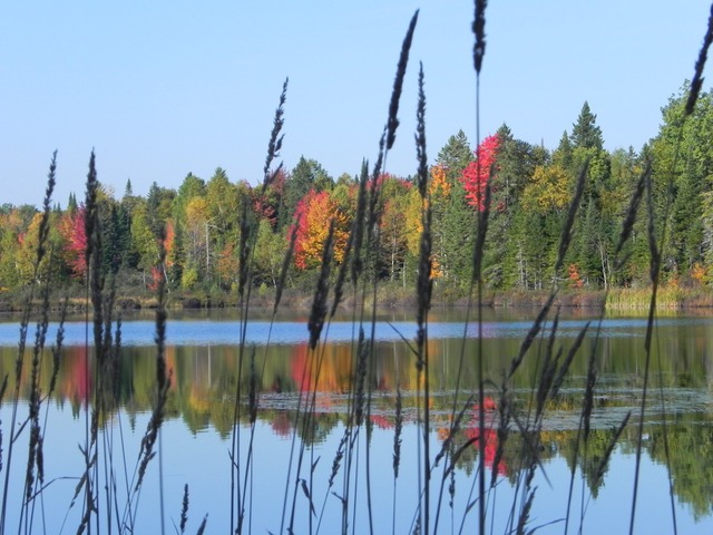 Vue sur l'eau