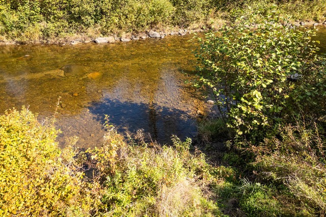 Bord de l'eau