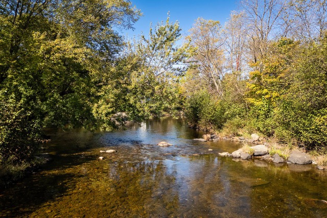 Bord de l'eau