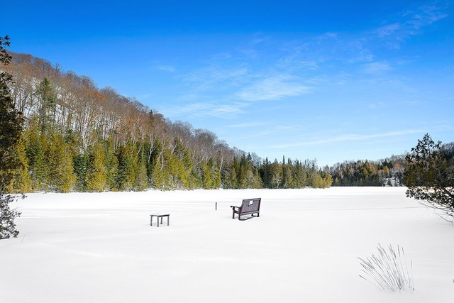 Bord de l'eau