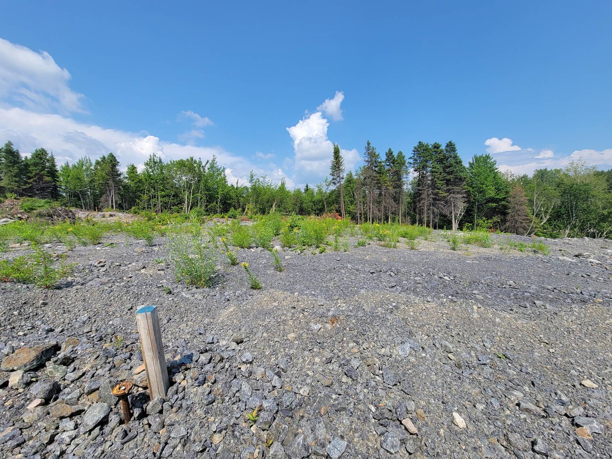 Terrain Vacant Vendre Rue De L Or E Des Bois Saguenay Jonqui Re