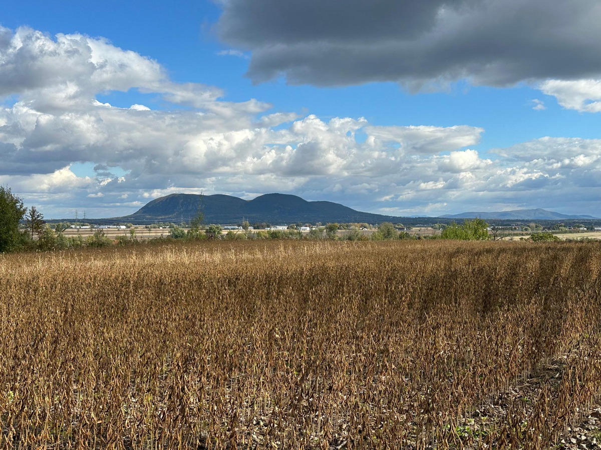 Terrain vacant à vendre Rg des Vingt SaintBasileleGrand